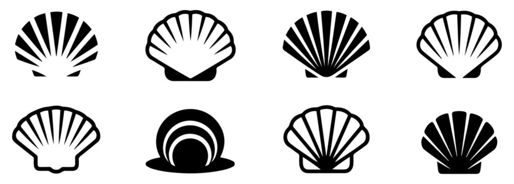 shell icon set seashell vector