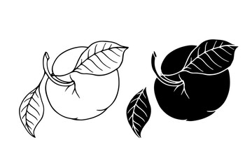 Line sketch, silhouette of a seasonal plum fruit. Vector graphics.