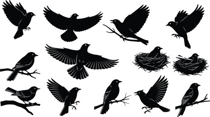 Obraz premium Black vector silhouette set of diverse wild birds flying perched on branches and nesting for nature landscape ornithology wildlife conservation and garden branding design,