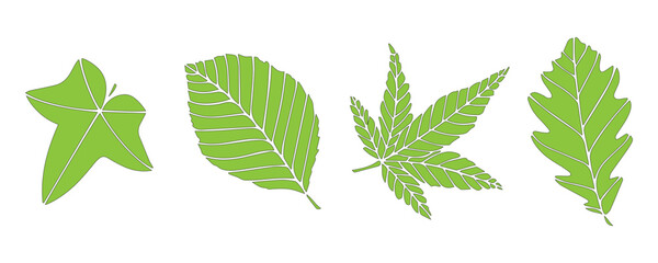 Set of various leaf silhouettes on white background © Suraiya