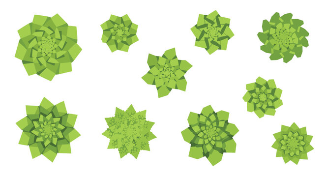 A collection of stylized green fractal shapes resembling succulents or romanesco are viewed from above on a white background.