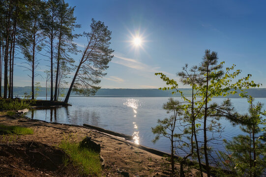 View of the Kama River from a pine forest on a sunny summer day.