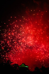 岡崎城下家康公夏まつり