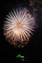 岡崎城下家康公夏まつり