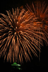 岡崎城下家康公夏まつり