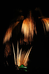 岡崎城下家康公夏まつり