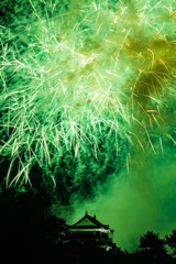 岡崎城下家康公夏まつり