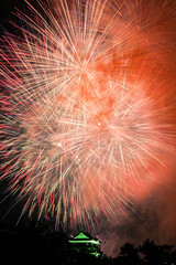 岡崎城下家康公夏まつり