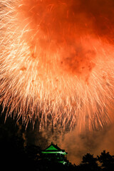 岡崎城下家康公夏まつり