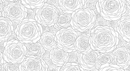A detailed black and white seamless pattern of overlapping rose flowers perfect for a relaxing coloring page activity.