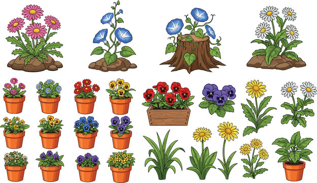 Collection of garden flowers in pots and ground with daisies pansies and blooming plants vector illustration set