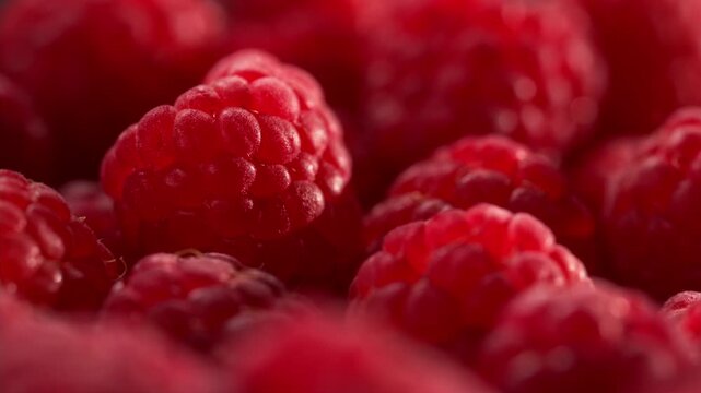 Fresh raspberries in darkness as warm sunlight gradually appears and fades away. Dramatic macro shot with soft focus and glowing highlights creating cinematic food mood and natural texture.