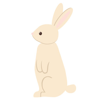 Cute flat vector illustration of spring hare