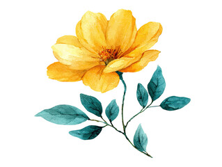 Watercolor illustration of a vibrant yellow flower with blue-green leaves, black background