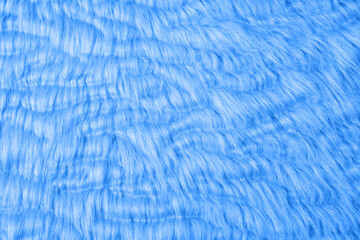 Vibrant blue fluffy faux fur fabric showing cozy wavy texture for an abstract background © reddish