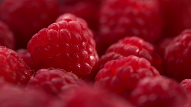 Fresh raspberries illuminated by dancing sunlight filtering through tree branches. Soft light spots shimmer across juicy berries, creating natural summer mood, depth and cinematic macro texture.