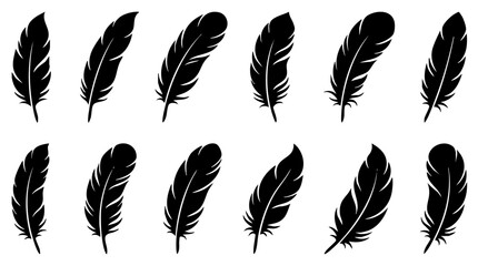 Feather & Quill Silhouette Icons Set &ndash; Black and White Minimalist Bird Feathers Collection