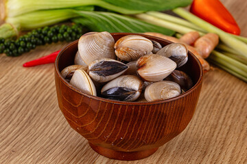 Raw fresh wild clams mollusc © Andrei Starostin