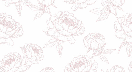 Seamless Pink Peony Floral Line Art Pattern on White Background