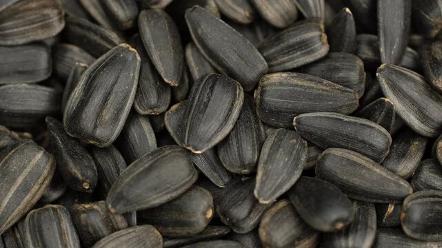 Heap of Black sunflower seeds macro, rotation. Organic food and healthy snack concept