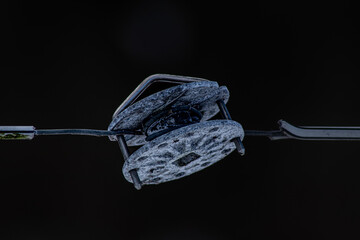 electric plug and socket isolated