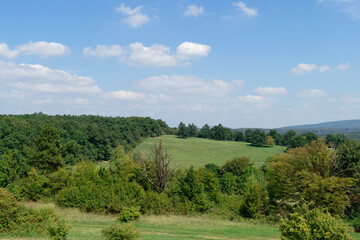 The image depicts a beautiful green field surrounded by trees under a bright blue sky.