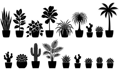 A collection of diverse potted plants in a black and white silhouette style