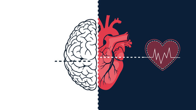 Conceptual split illustration showing half of a human brain and half of a heart with a pulse line on a dark background.