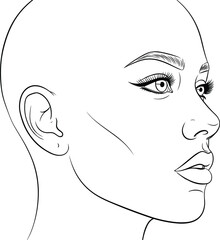 Detailed human face profile illustration, black and white line drawing, anatomy study portrait, realistic facial features artwork, artistic sketch for education and design © Creative360