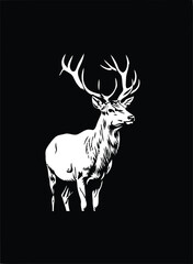 White Deer with Large Antlers on Black Background