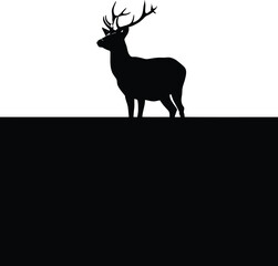 Deer Stag Silhouette Standing on Hill Isolated on White