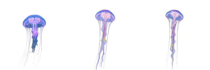 Set of Glowing Bioluminescent Jellyfish with Long Tentacles Floating in Deep Blue Water Isolated on White Background © Gadda