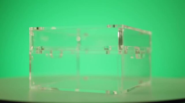 glass of champagne