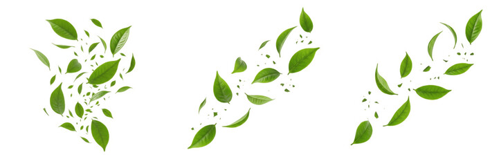 Set of Fresh Green Leaves Falling and Flying in the Air Isolated on White Background for Nature and Freshness Concept