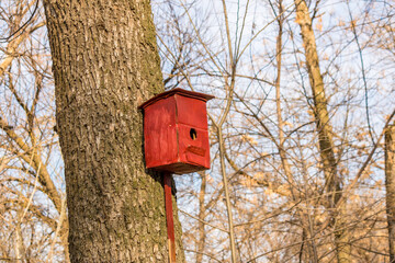 A red birdhouse on a tree in a park. A concept for caring for nature and birds.