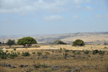 Tawi Atair scenery. Salalah, Oman