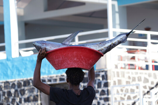 Fischer tr&auml;gt einen Thunfisch 