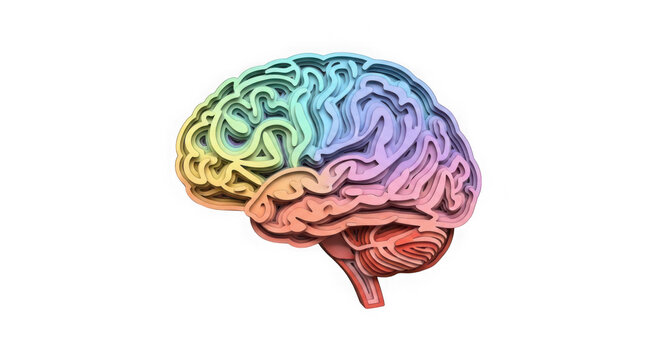 Colorful rainbow multicolored brain illustration with detailed sections  creative concept transparent background