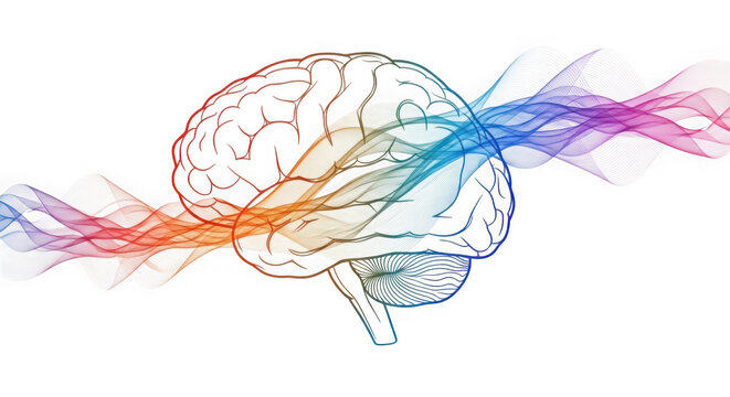 Human brain with colorful neural connections and rainbow waves flowing through it transparent background