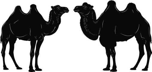 WebBlack camel silhouettes isolated on white background, Arabian desert animal vector illustration set for wildlife design, travel branding, safari logo and Middle Eastern culture themes © Itz Mehedi's World