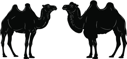 Two black camel silhouettes with double humps facing each other isolated on white background for desert travel themes middle eastern culture and safari wildlife. © Itz Mehedi's World