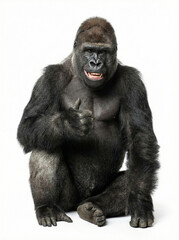 Fototapeta premium Animals thumbs up