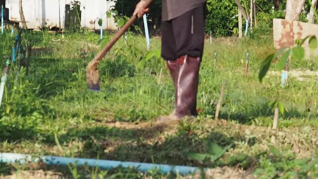 Happy gardener man farmer working agriculture field removing weed green grass with hoe wearing boot rural farmland outdoor clearing grassy soil warm