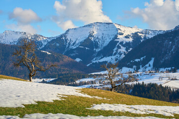 Winter landscape at the foot of the Nagelfluhkette with the snow-covered Hochgrat peak above Steibis near Oberstaufen in the Allg&auml;u region of Bavaria, Germany, under soft afternoon light.