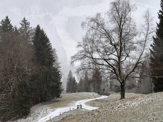 Lonely alpine landscape in early winter with fresh snow near Oberstaufen-Steibis in the Allgaeu region of Bavaria, Germany, under misty light, Bavaria, Germany