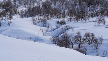 Corse - Val d'Ese - Randonn&eacute;e neige