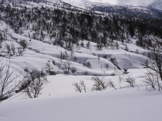 Corse - Val d'Ese - Randonn&eacute;e neige
