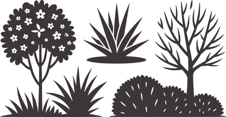 Black silhouette flowering tree ornamental grasses and bare tree © Md