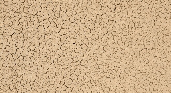 Dry cracked earth texture background with natural light close-up for design and nature projects