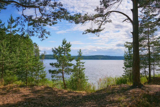 View of the Kama River from a pine forest on a sunny summer day.